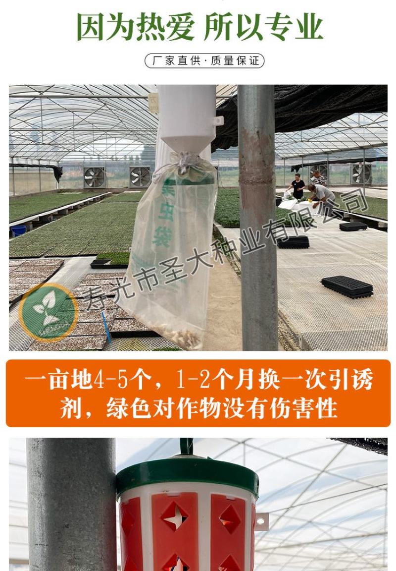 飞蛾陷阱捕蛾器夜娥诱捕器斜纹夜蛾甜菜夜蛾草地贪夜蛾大棚菜