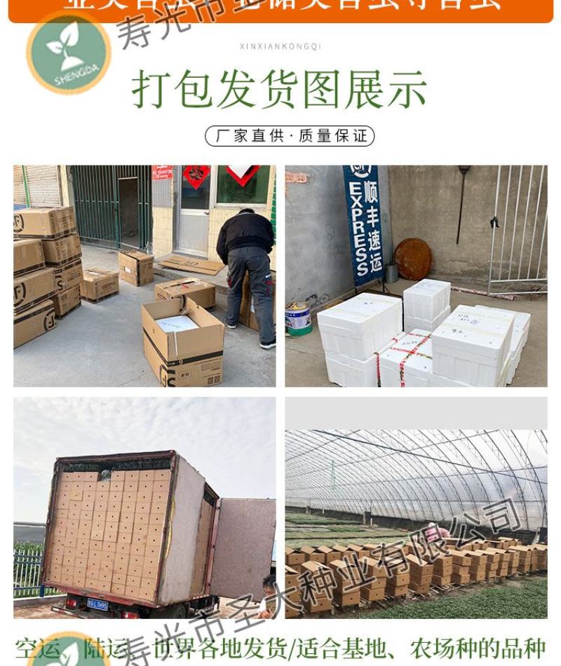 飞蛾陷阱捕蛾器夜娥诱捕器斜纹夜蛾甜菜夜蛾草地贪夜蛾大棚菜