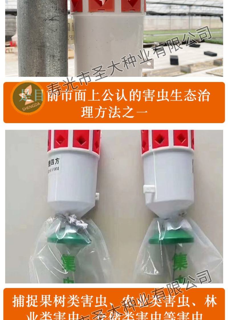 飞蛾陷阱捕蛾器夜娥诱捕器斜纹夜蛾甜菜夜蛾草地贪夜蛾大棚菜