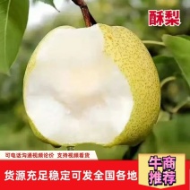 泔河酥梨陕西酥梨高原旱地酥梨，皮薄，无渣，糖分高
