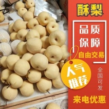 乾县酥梨陕西酥梨电商市场商超脆甜多汁皮薄爽口