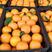 四川眉山丹棱爱媛果冻橙大量上市各种规格各种价位欢迎对接