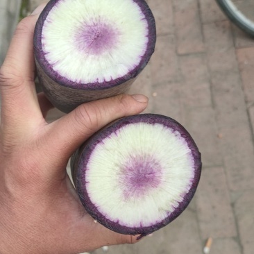 冰激凌萝卜