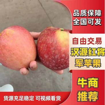 【精选苹果】汉源丑苹果红苹果四川产地直发供应电商商超电联