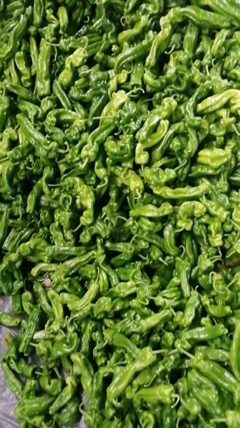 辣椒，薄皮辣椒，皮薄肉多，一手货源随到随装，诚信经营