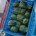 甘蓝圆包菜大量供应，绿色无公害蔬菜欢迎新老客户前来选购