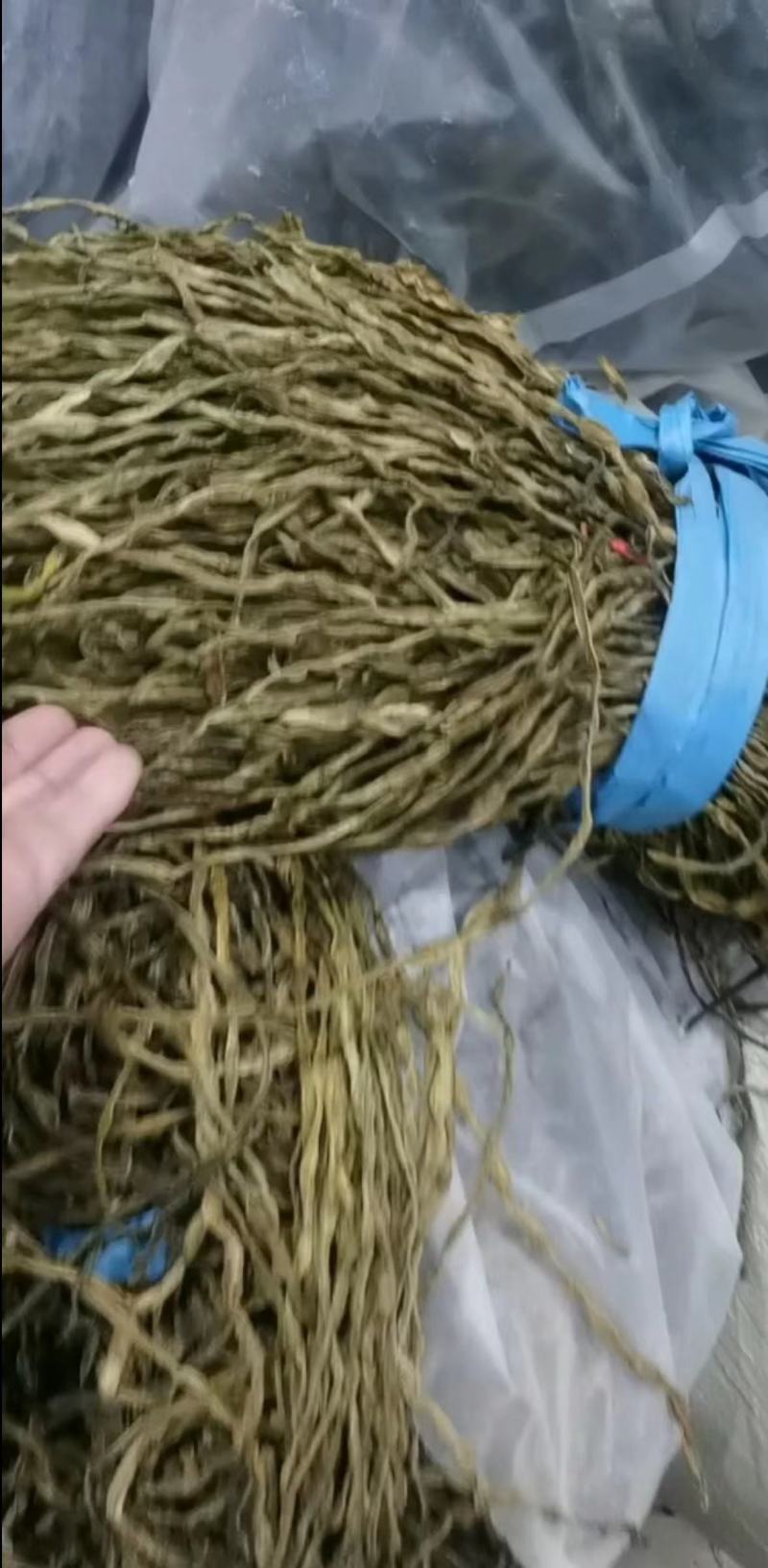 河南精品干豆角/一手货源/保质保量/量大优惠/可线上交易