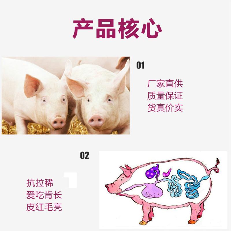 猪浓缩饲料爱吃肯长肯睡皮红毛亮40斤/包