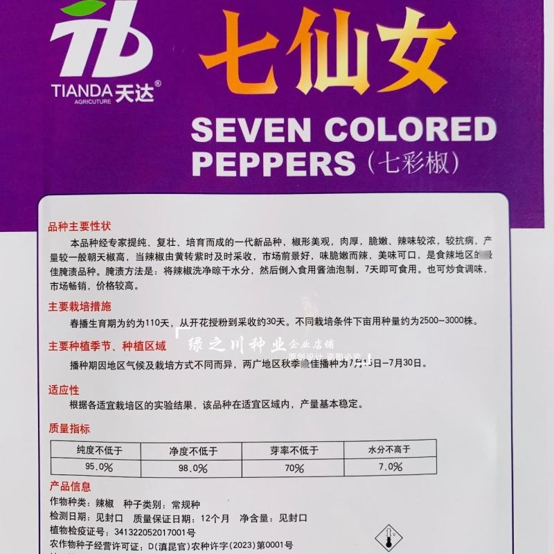 两广热销七彩椒种子味辣脆嫩五彩泡椒种子可腌渍泡制彩色辣椒