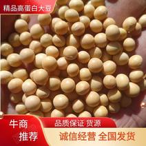 黑龙江黄豆，蛋白42水分10