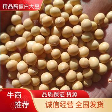 黑龙江黄豆，豆制品专用，腐竹，豆腐，豆浆蛋白42水分10
