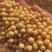 黄豆高蛋白腐竹专用豆制品专用货源充足品质保证全国发货