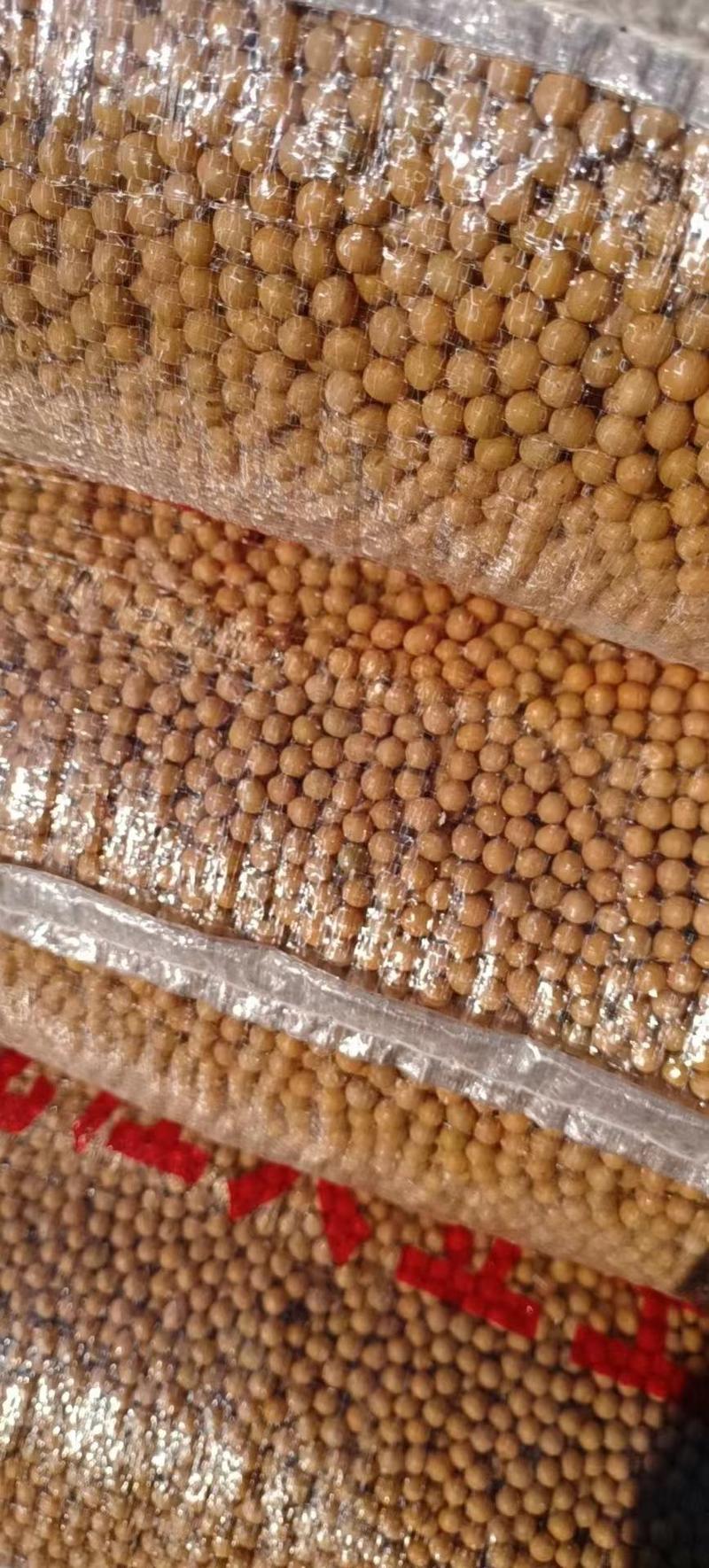黄豆高蛋白腐竹专用豆制品专用货源充足品质保证全国发货