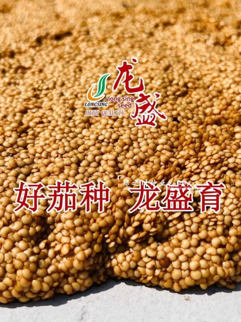 果肉淡绿烧烤茄种子早熟杂交香烤9297油亮粗棒型茄子种子