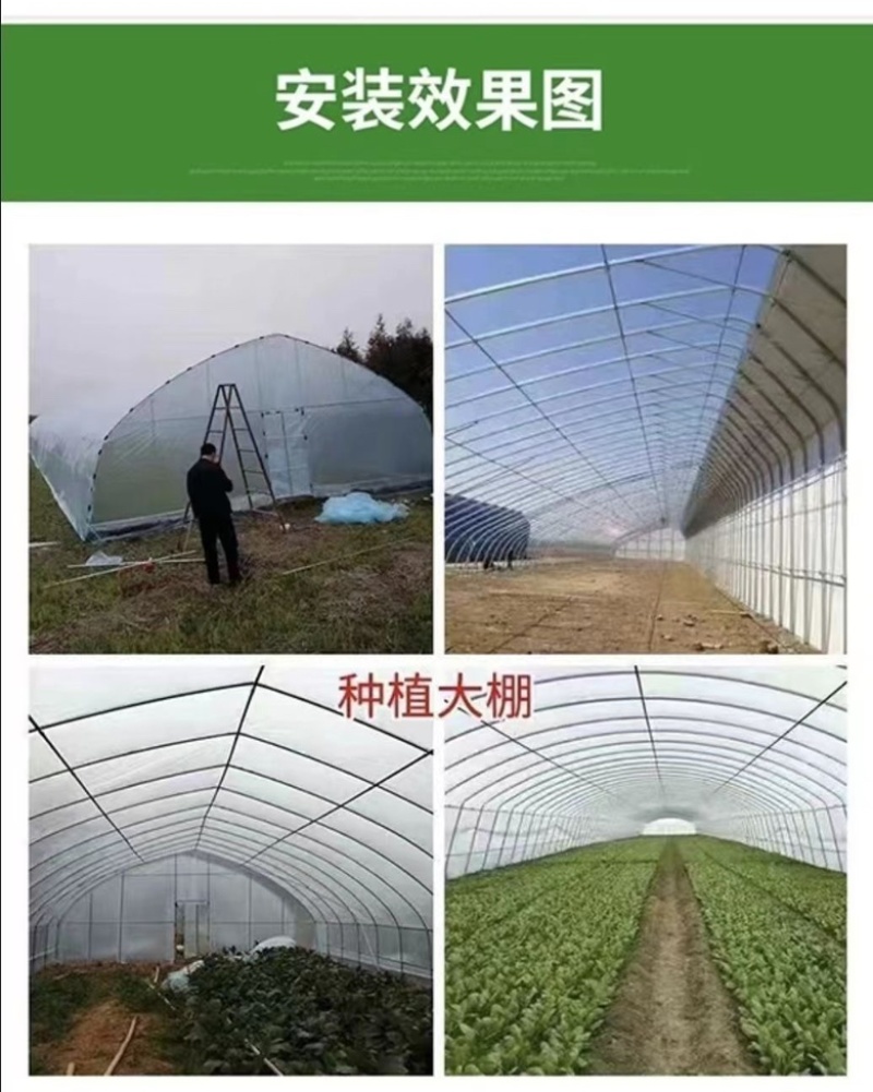 养殖大棚包塑椭圆管养牛大棚全国发货上门安装
