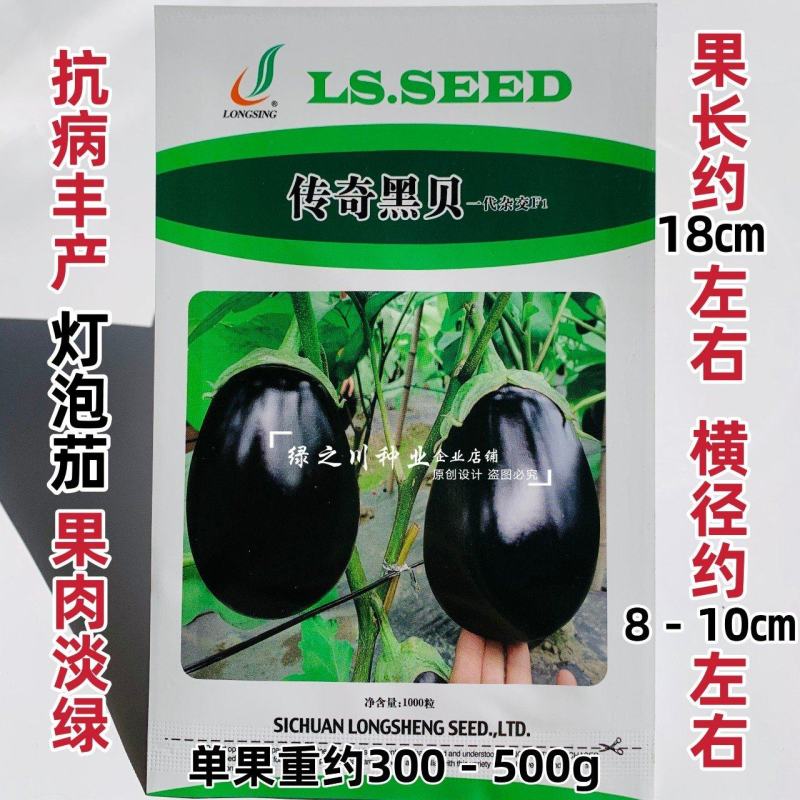 传奇黑贝高品质灯泡茄种子油黑亮丽果肉淡绿绿把油黑茄子种子
