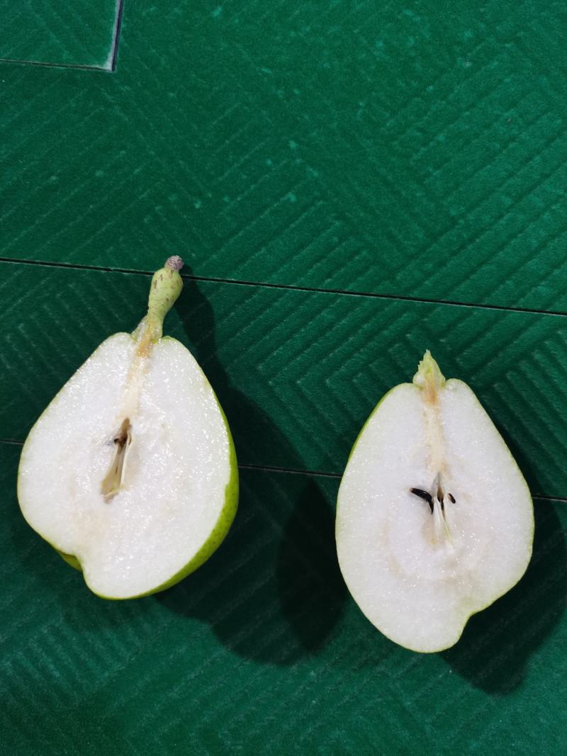 新疆库尔勒香梨