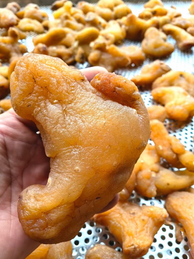 黄精，野生黄精鲜货，传统九制黄精供应支持电商合作统货选货