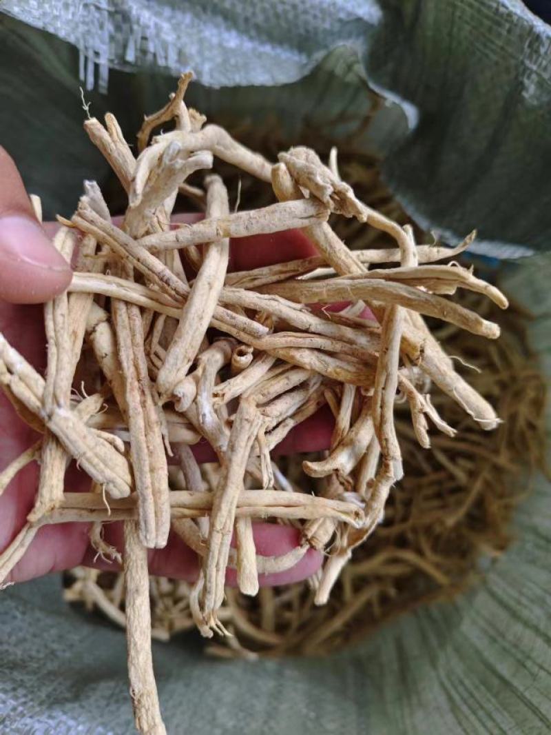 辽宁白鲜皮基地直供，一手货源，诚信经营，欢迎来电洽谈合作