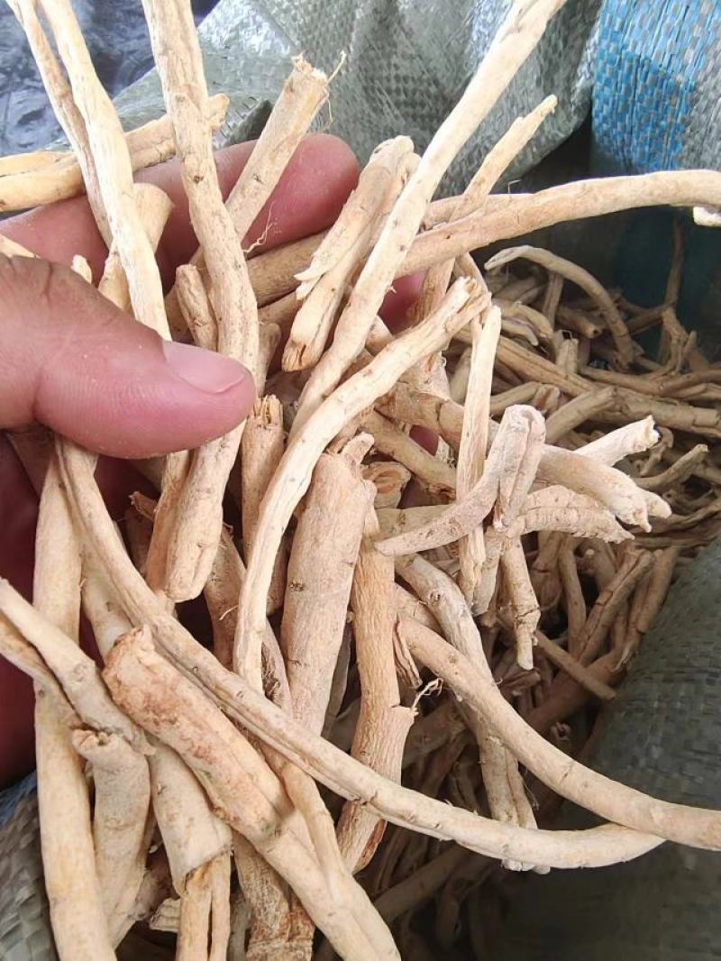 辽宁白鲜皮基地直供，一手货源，诚信经营，欢迎来电洽谈合作