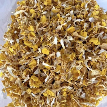 干榆黄菇片