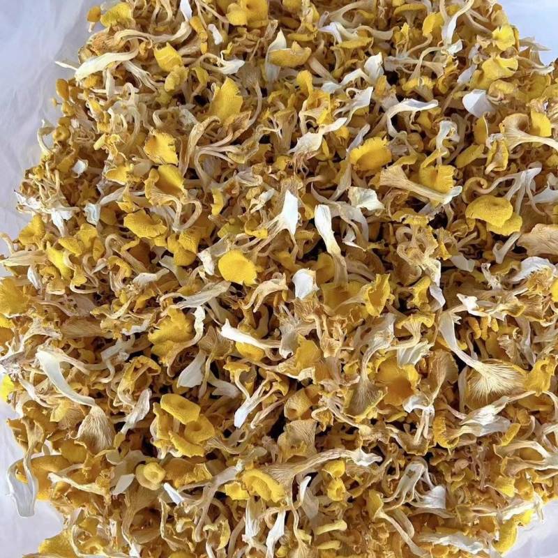 干榆黄菇片