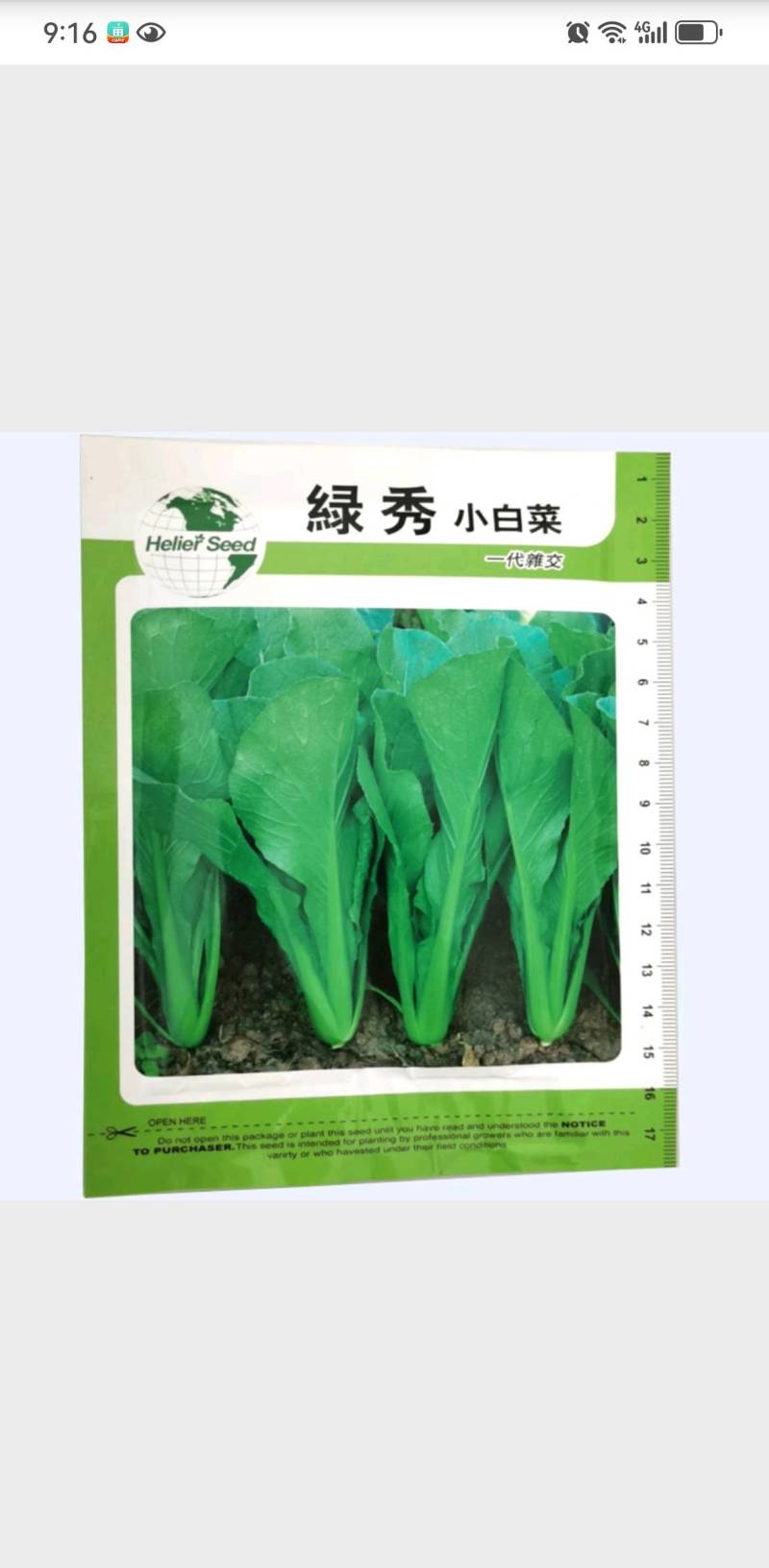 小白菜种子青梗小白菜种籽鲁鹏5号一代杂交快菜种子耐热
