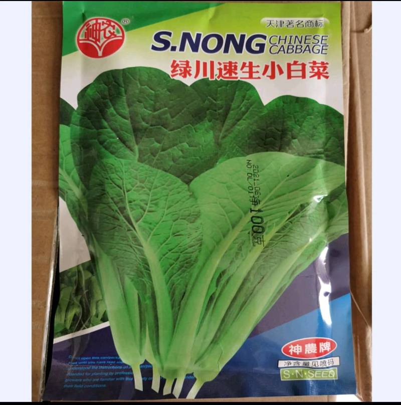 小白菜种子青梗小白菜种籽鲁鹏5号一代杂交快菜种子耐热