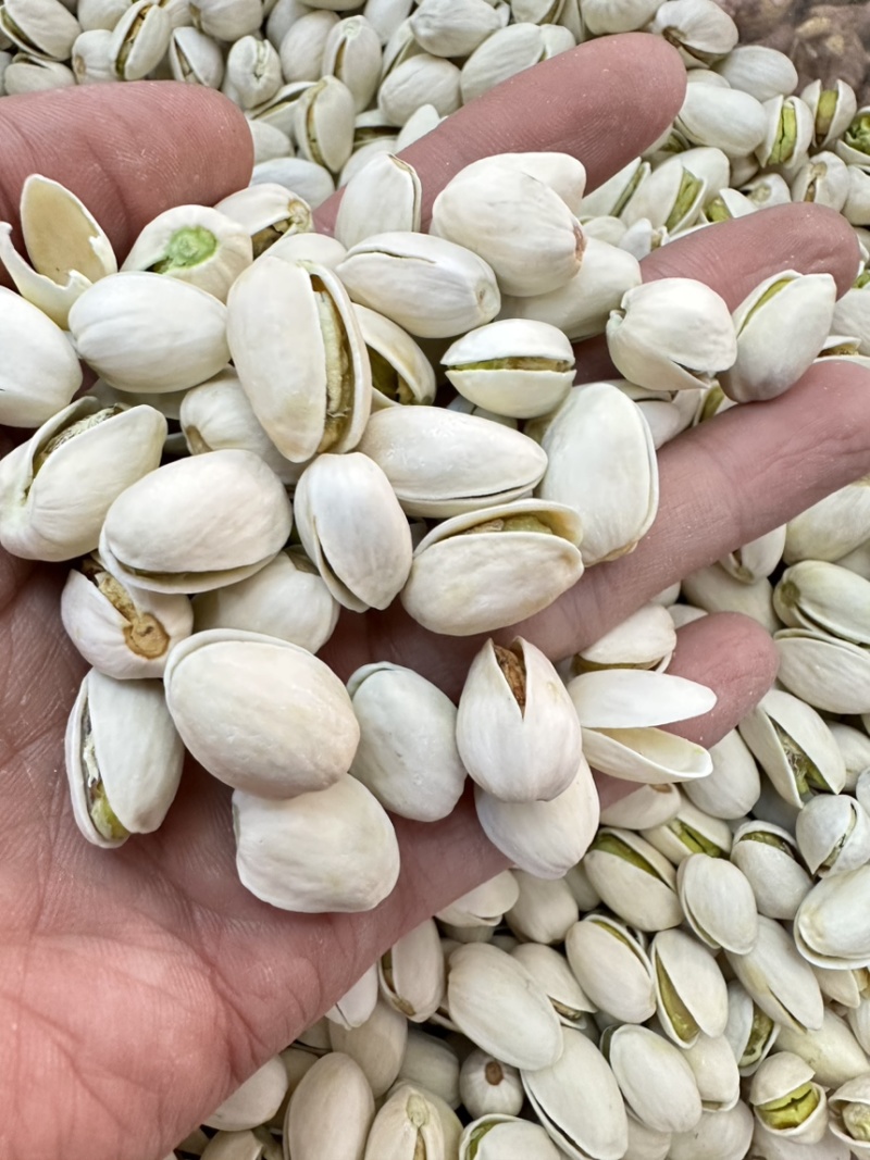 新货开心果大自开无任何加工坚果炒货零食批发