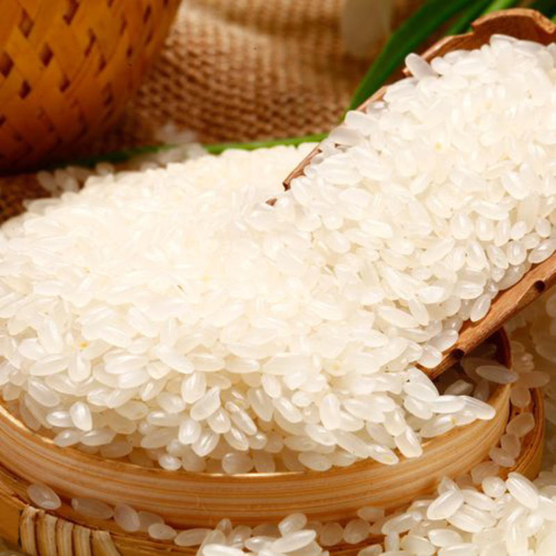 东北稻花香大米产地直供黑龙江发往全国支持线上交易