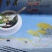 色鲜味美，营养丰富，方便食用