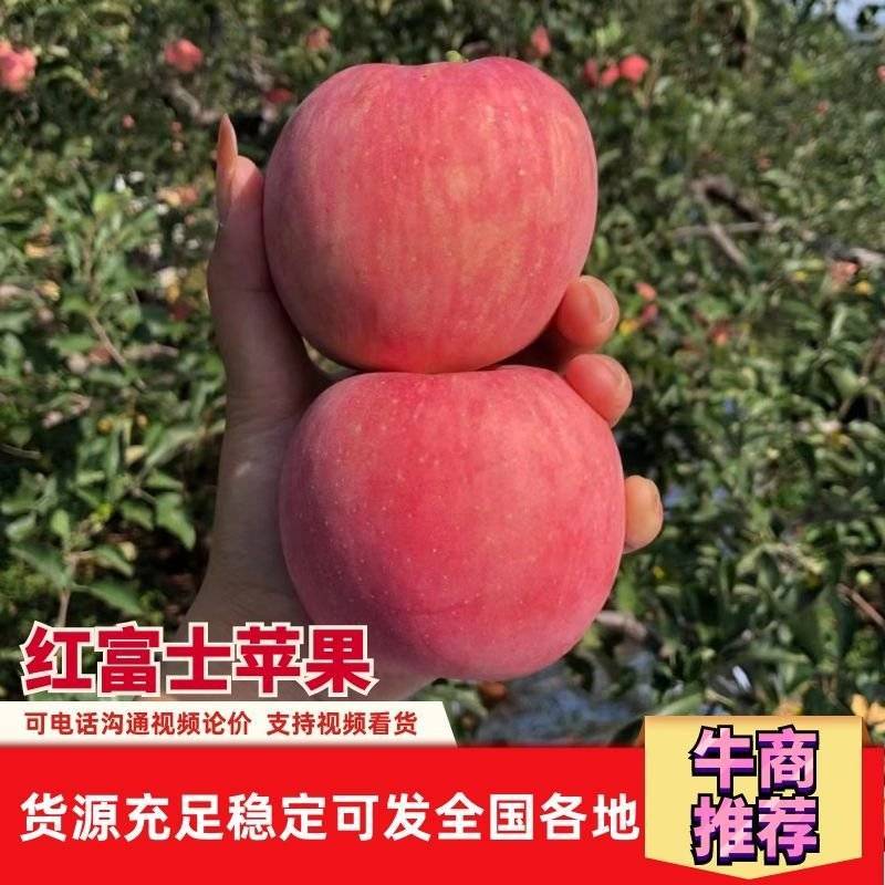 【实力代办】山地苹果红富士苹果辽宁产地直供超市市场