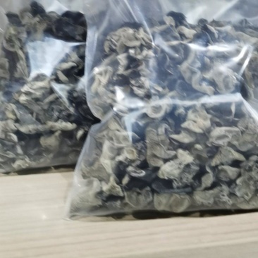 大干木耳