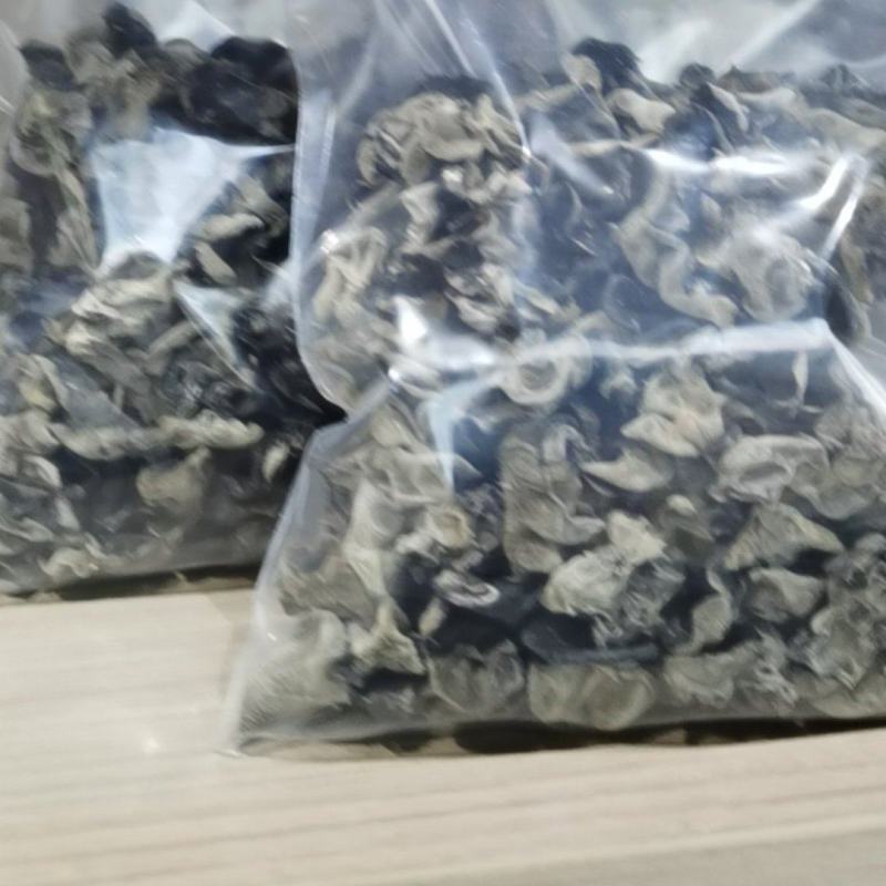 大干木耳