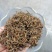 恩施富硒茶利川红冷后浑芽尖茶特级