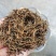 恩施富硒茶利川红冷后浑芽尖茶特级