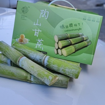 礼盒装甘蔗对接各种市场欢迎咨询