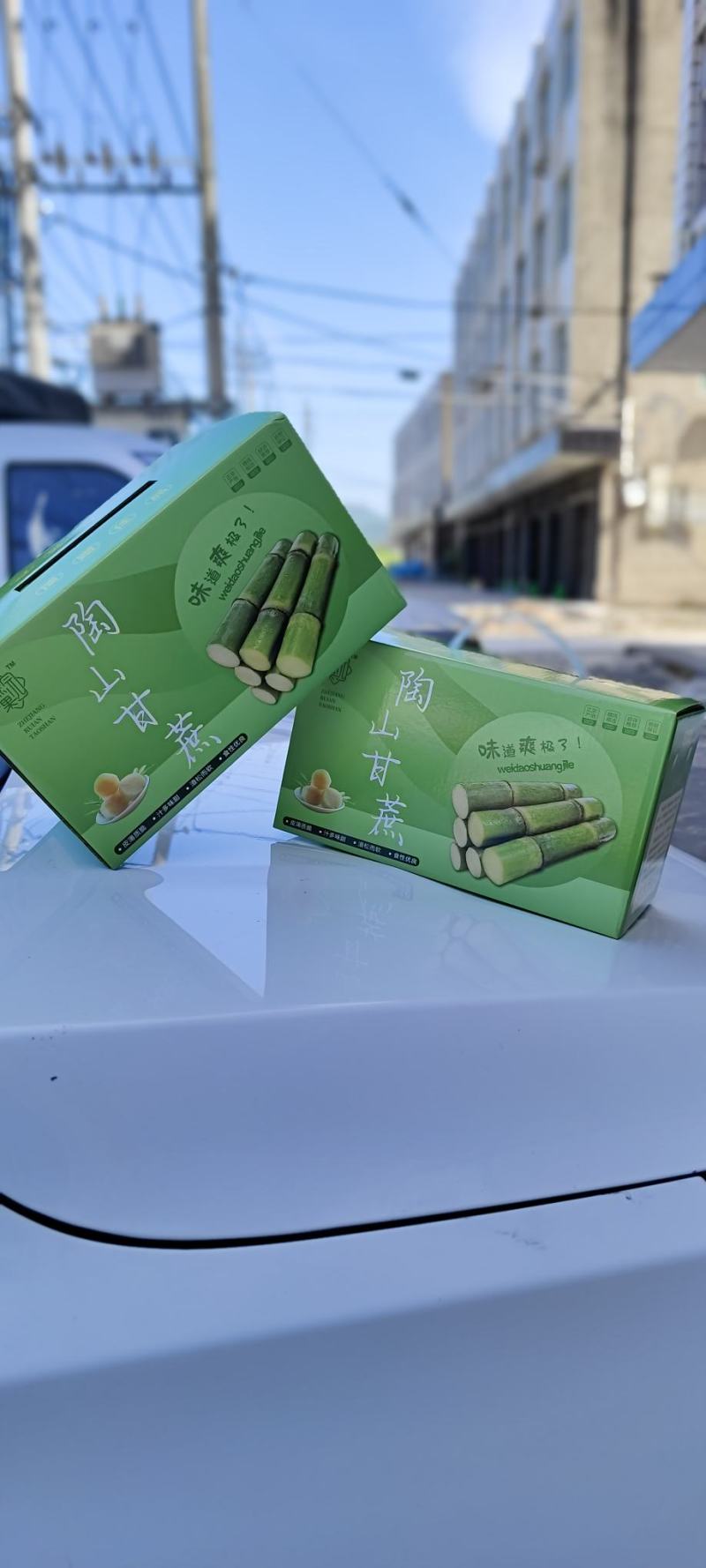 礼盒装甘蔗对接各种市场欢迎咨询