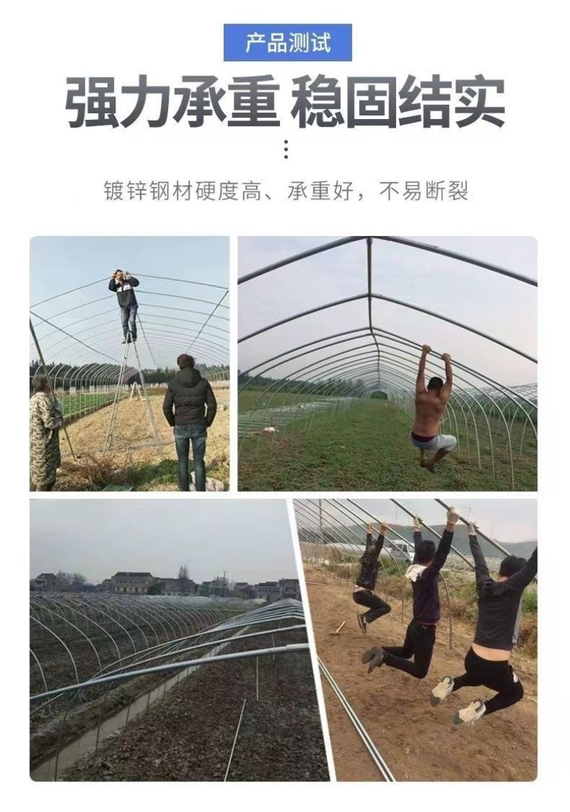 温室养殖大棚养牛棚养羊大棚全国发货包建