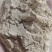 小谷子粉，蛋白8,纤维8，做鸭料好原料，适合所有饲料添加