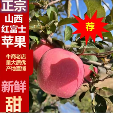 山西万荣纸袋、光果红星色泽鲜艳，口感甜脆货源充足。