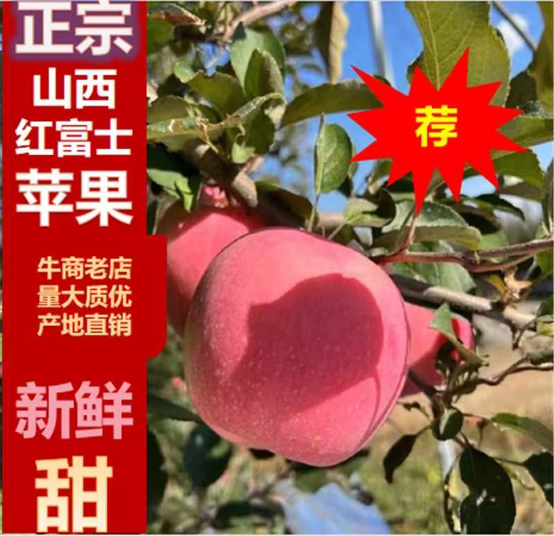山西万荣纸袋、光果红星色泽鲜艳，口感甜脆货源充足。