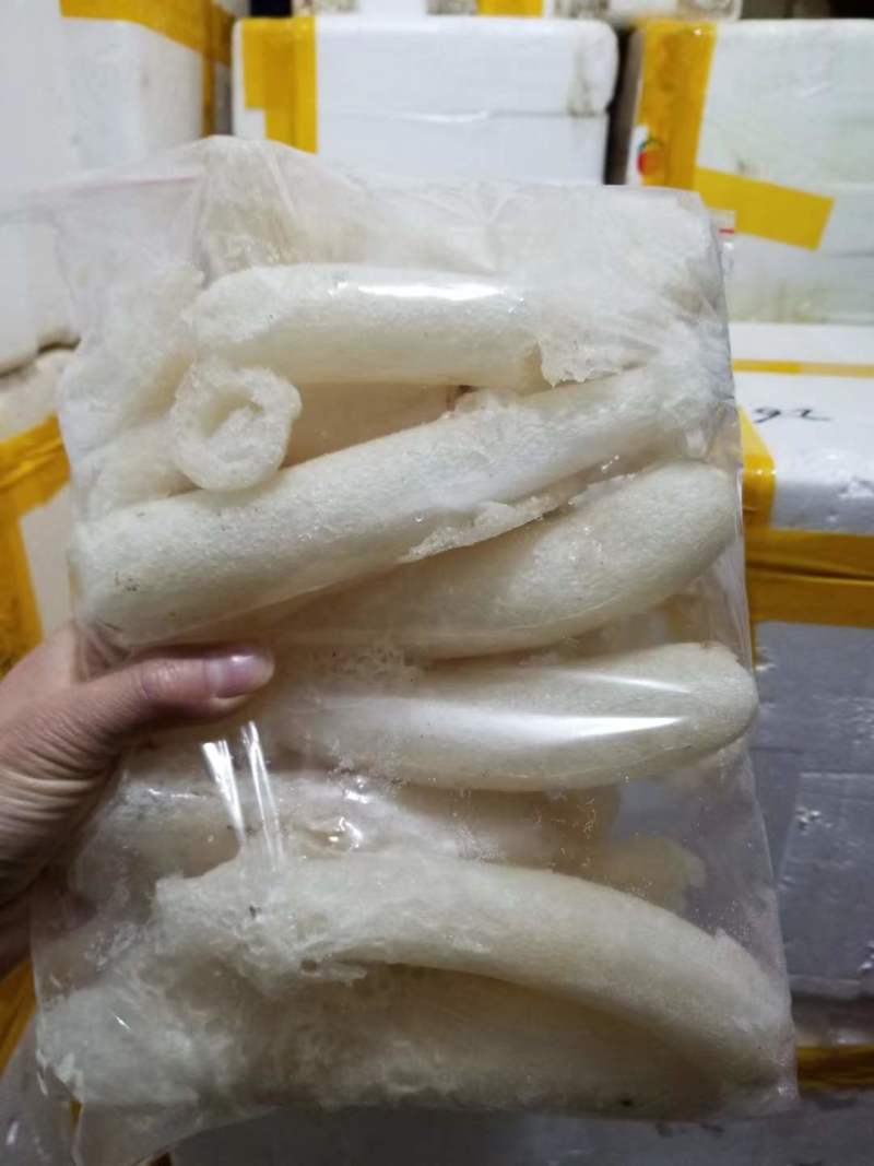 贵州织金冻竹荪