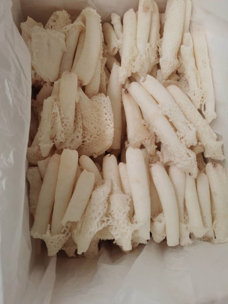 贵州织金冻竹荪
