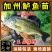 加州鲈鱼苗已训料优鲈一号技术指导基地直发