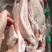五花肉条