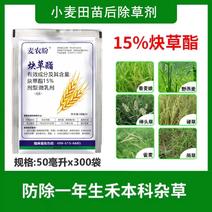 15%炔草酯小麦田除草剂野燕麦禾本科杂草