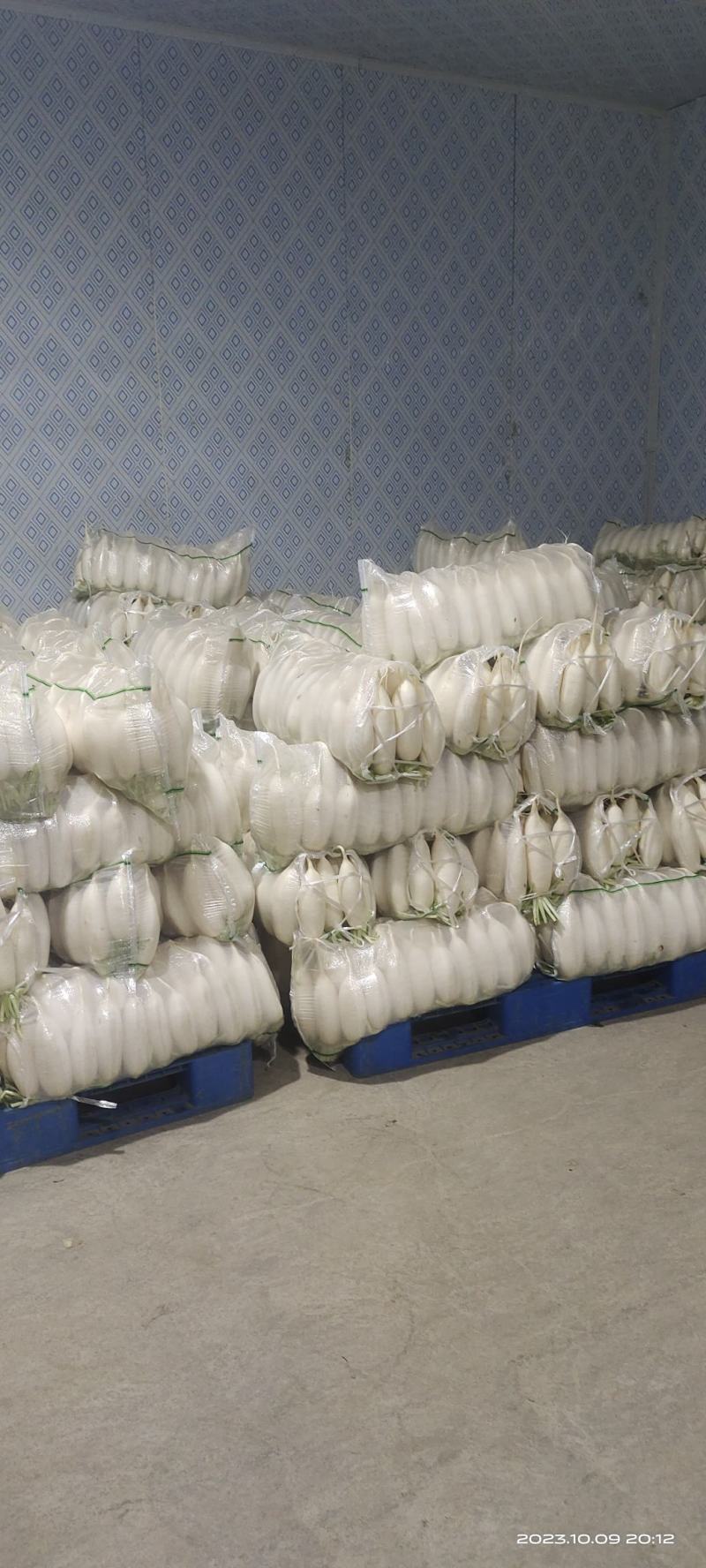 涞水精品电商五排