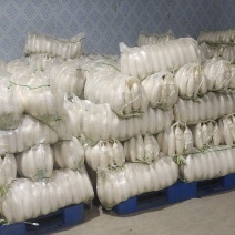 涞水精品电商五排