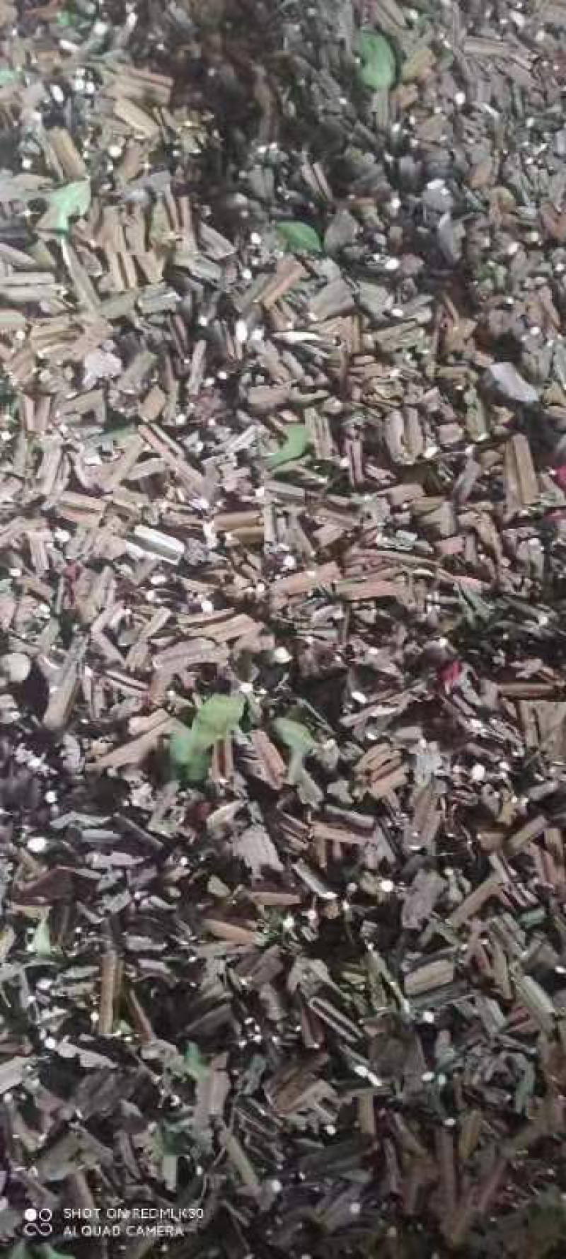 鬼箭羽特级优品供应厂家直发，无任何差价，售后保障